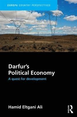 bokomslag Darfur's Political Economy