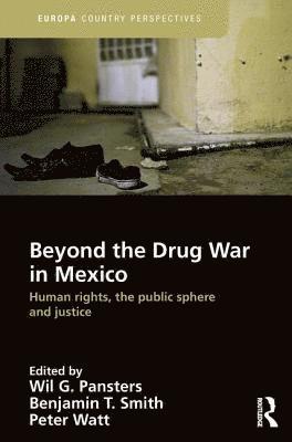 bokomslag Beyond the Drug War in Mexico