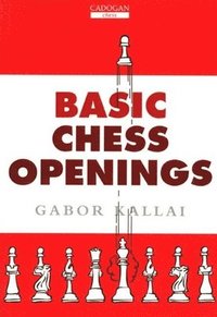 bokomslag Learn Chess