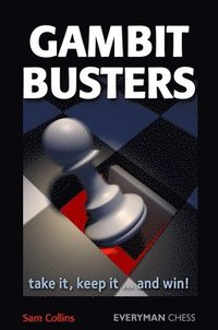 bokomslag Gambit Busters