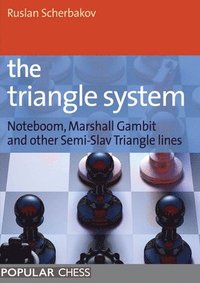 bokomslag Triangle System