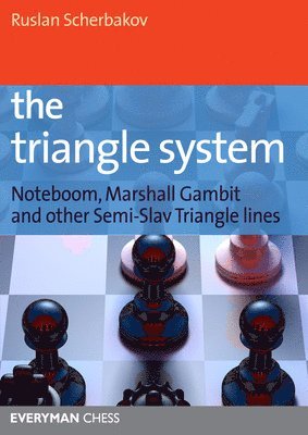 bokomslag The Triangle System
