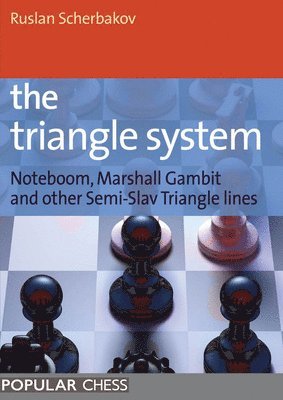 bokomslag Triangle System