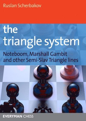 The Triangle System 1