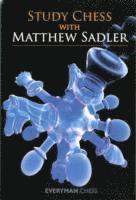 Matthew Sadler - Study Chess with Matthew Sadler, Häftad