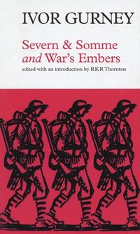 bokomslag Severn and Somme <i>and</i> War's Embers