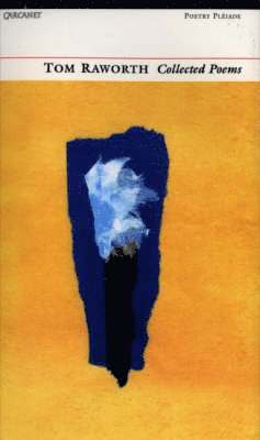 Tom Raworth - Collected Poems, Häftad