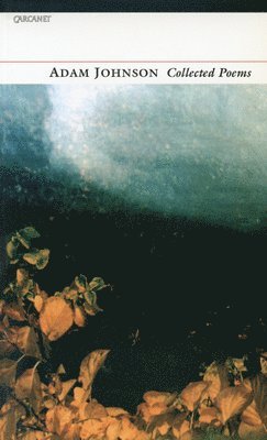 Adam Johnson Collected Poems