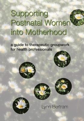 bokomslag Supporting Postnatal Women into Motherhood