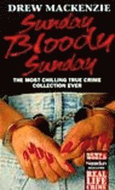 bokomslag Sunday Bloody Sunday