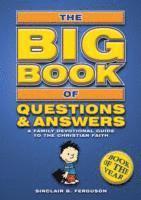 bokomslag Big Book of Questions & Answers