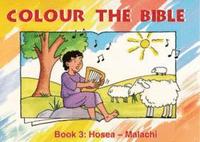 bokomslag Colour the Bible Book 3