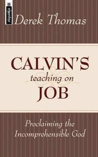 bokomslag Calvin's Teaching on Job