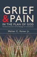 bokomslag Grief and Pain in the Plan of God