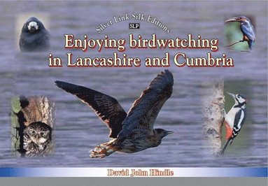 bokomslag Enjoying Birdwatching in Lancashire and Cumbria