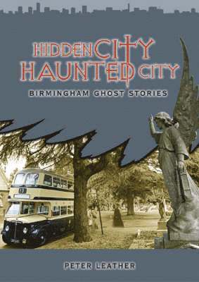 bokomslag Hidden City Haunted City
