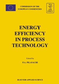 bokomslag Energy Efficiency in Process Technology