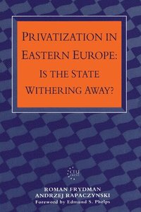 bokomslag Privatization in Eastern Europe