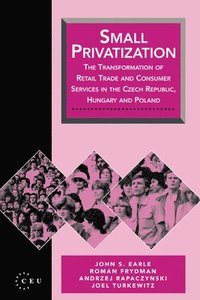 bokomslag Small Privatization