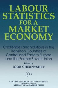 bokomslag Labour Statistics for a Market Economy