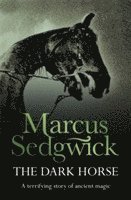 Marcus Sedgwick - Dark Horse, Häftad
