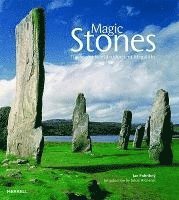 bokomslag Magic Stones