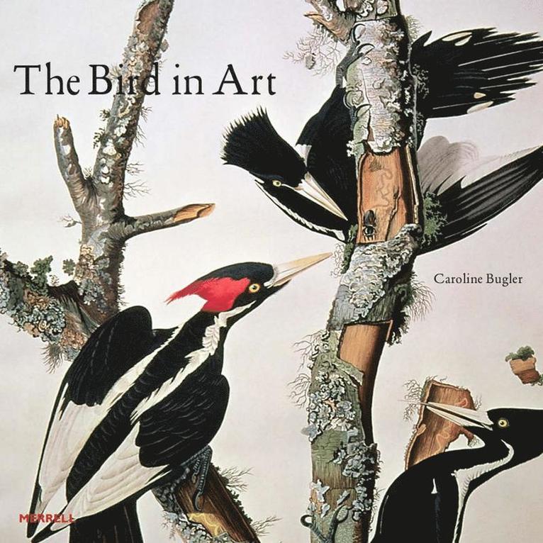 Caroline Bugler - Bird in Art, Inbunden