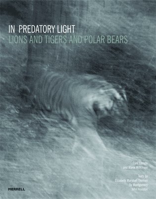 bokomslag In Predatory Light: Lions and Tigers and Polar Bears