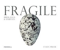 bokomslag Fragile: Birds, Eggs & Habitats