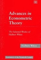 bokomslag Advances in Econometric Theory