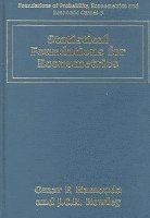 O. F. Hamouda, J. C.R. Rowley - Statistical Foundations for Econometrics, Inbunden