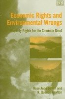 bokomslag Economic Rights and Environmental Wrongs