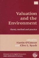 bokomslag Valuation and the Environment