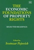 The Economic Foundations of Property Rights 1