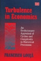 bokomslag Turbulence in Economics