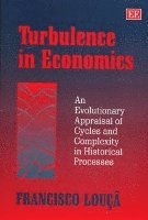 Turbulence in Economics 1