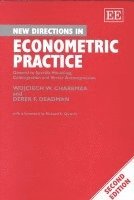 bokomslag NEW DIRECTIONS IN ECONOMETRIC PRACTICE, SECOND EDITION