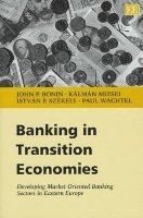 bokomslag Banking in Transition Economies