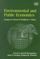 bokomslag environmental and public economics