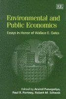 environmental and public economics 1