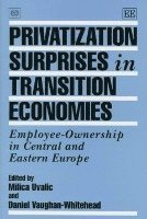 Milica Uvalic, Daniel Vaughan-Whitehead - Privatization Surprises in Transition Economies, Inbunden