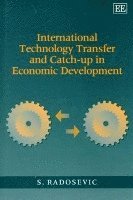 bokomslag International Technology Transfer and Catch-Up in Economic Development