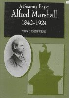 bokomslag A SOARING EAGLE: Alfred Marshall 18421924
