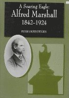 bokomslag SOARING EAGLE: Alfred Marshall 1842-1924