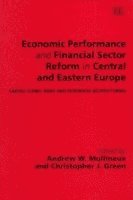 bokomslag Economic Performance and Financial Sector Reform in Central and Eastern Europe