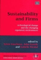 bokomslag Sustainability and Firms
