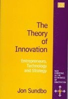 Jon Sundbo - Theory of Innovation, Inbunden
