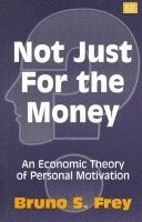 Bruno S. Frey - Not Just for the Money, Häftad
