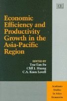 bokomslag Economic Efficiency and Productivity Growth in the Asia-pacific Region
