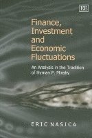 Finance, Investment and Economic Fluctuations 1